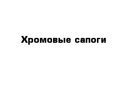 Хромовые сапоги